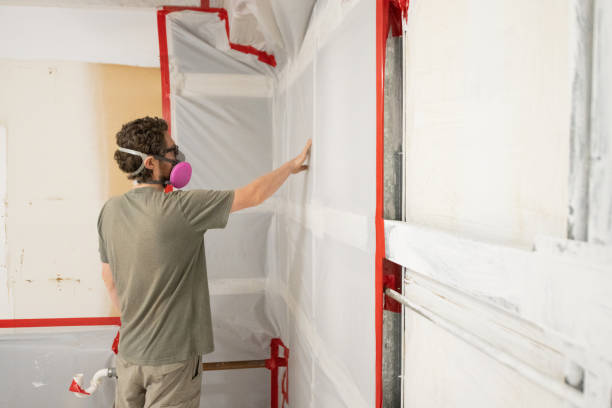 Professional Mold Removal in Little Falls, MN